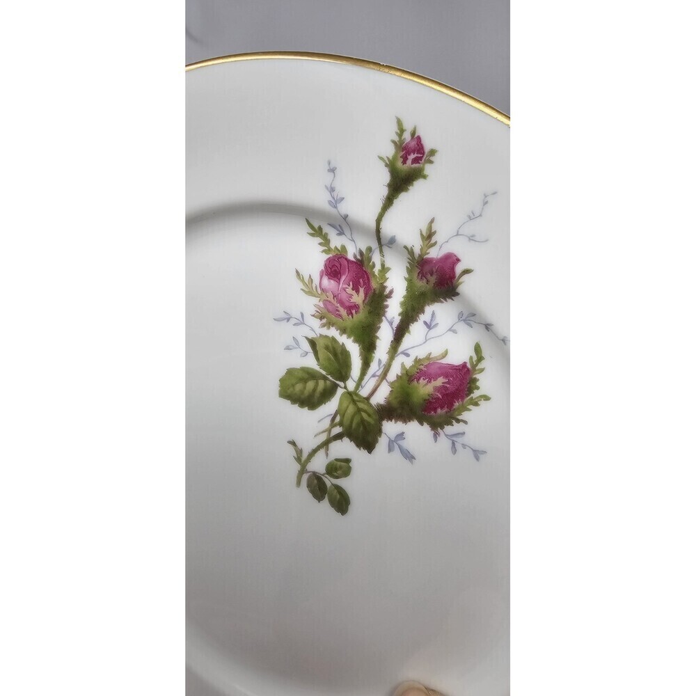 Vintage Rosenthal Petal Lane Moss Rose 7 3/4" Salad Plates Set Of 2 NEAR MINT - Picture 5 of 9